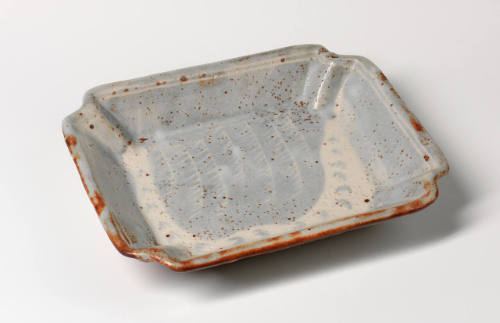 Dish