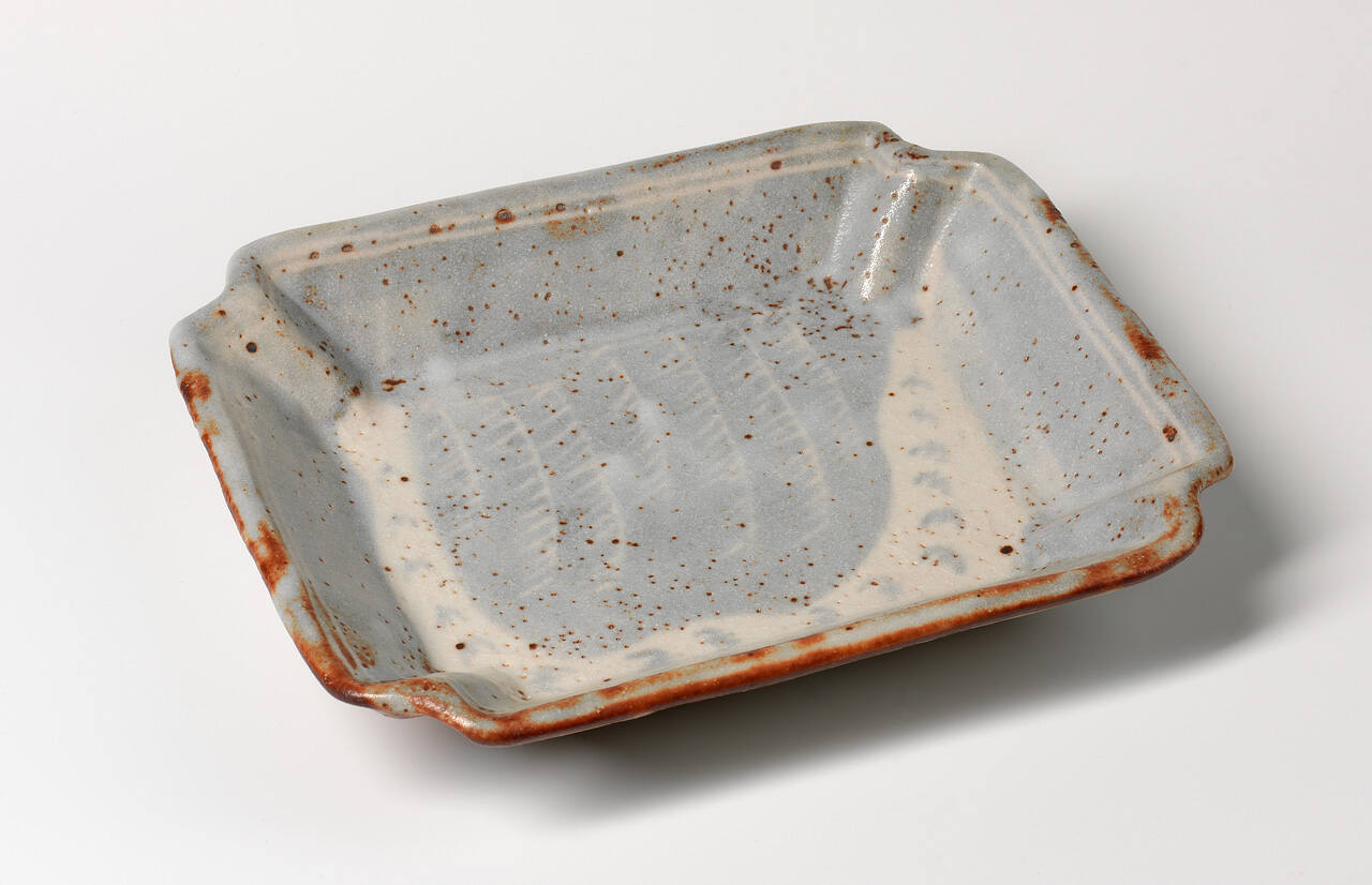 Dish