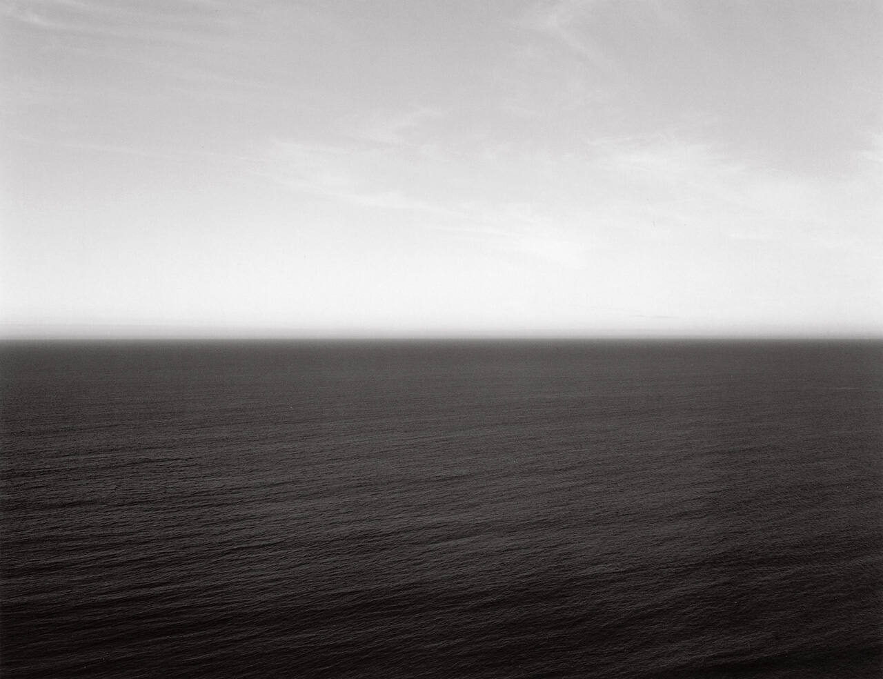 Tasman Sea, Ngarupupu