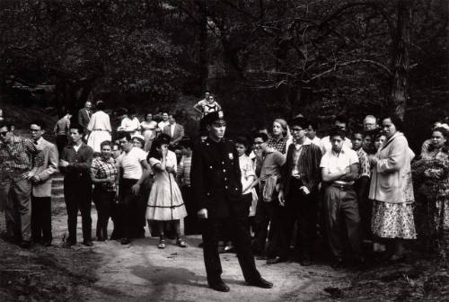 Failed Resucitation, Cantral Park, New York