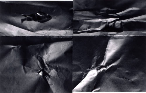 Untitled Diptych 158/163