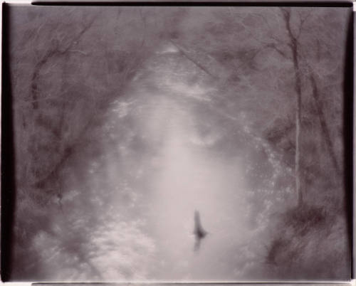 Untitled (Georgia)