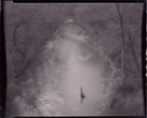 Stream