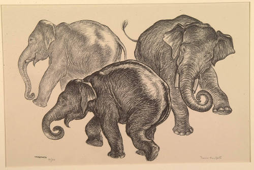 Three Elephants
