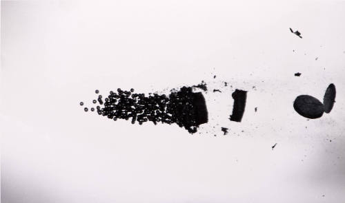 Pellets from Shotgun
