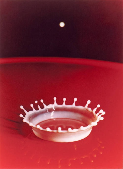 Milk Drop Coronet