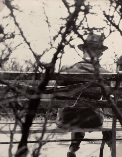 Untitled (man on park bench)