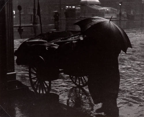 Pushcart on New York Street