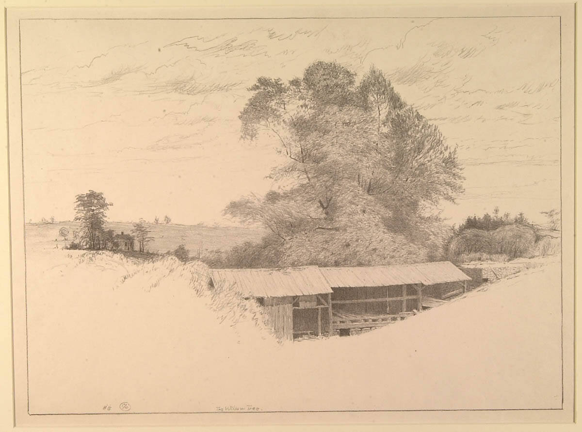 The Willow Tree