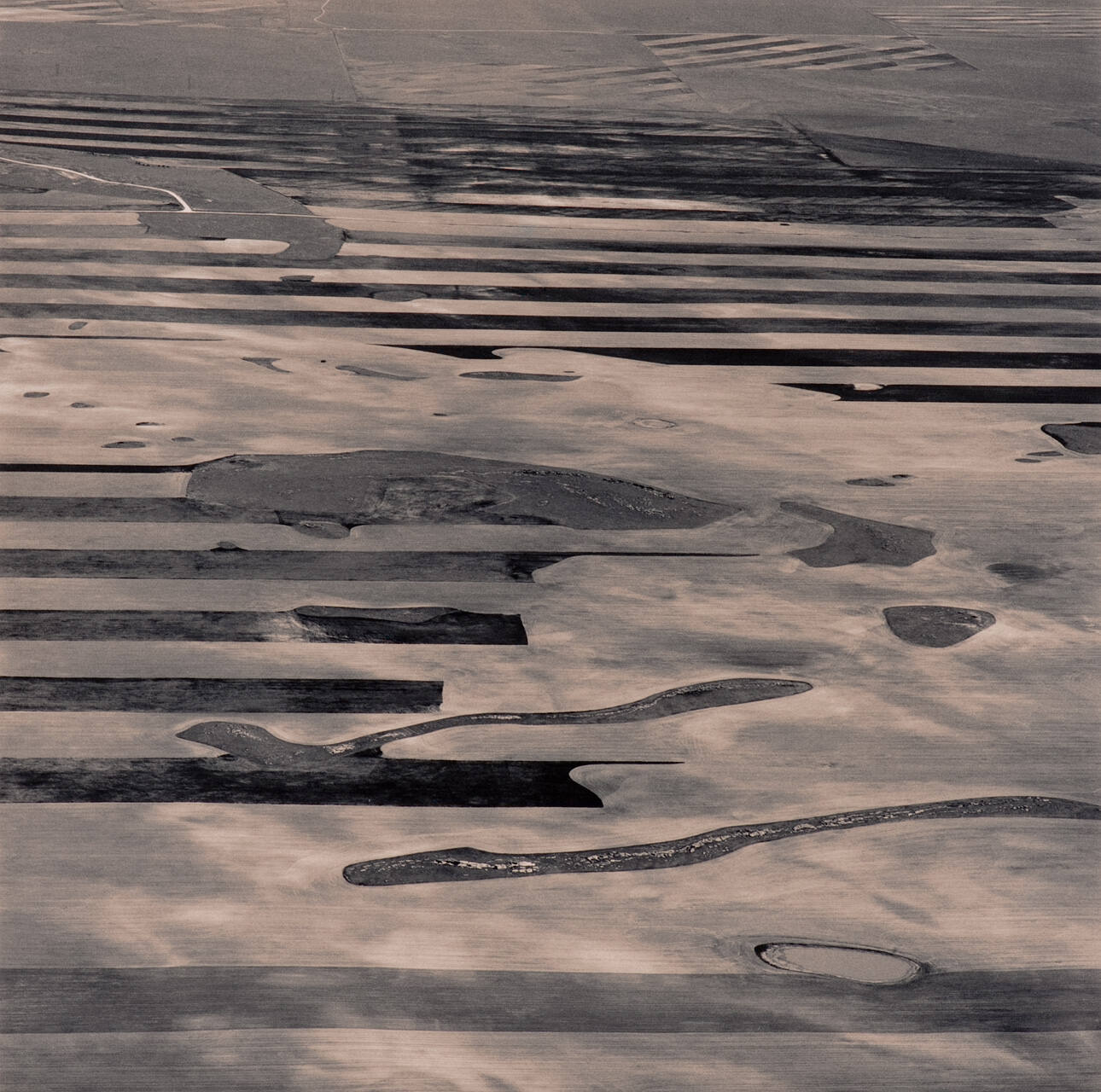 Dry Land Wheat Farming in the Cheyenne ICBM Missile Field, Pawnee National Grassland, Colorado,