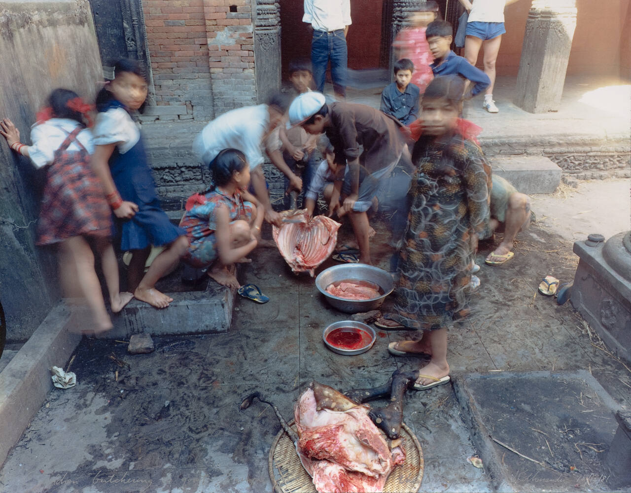 Children Butchering a Goat: Temple of the Living Goddess, Katmandu