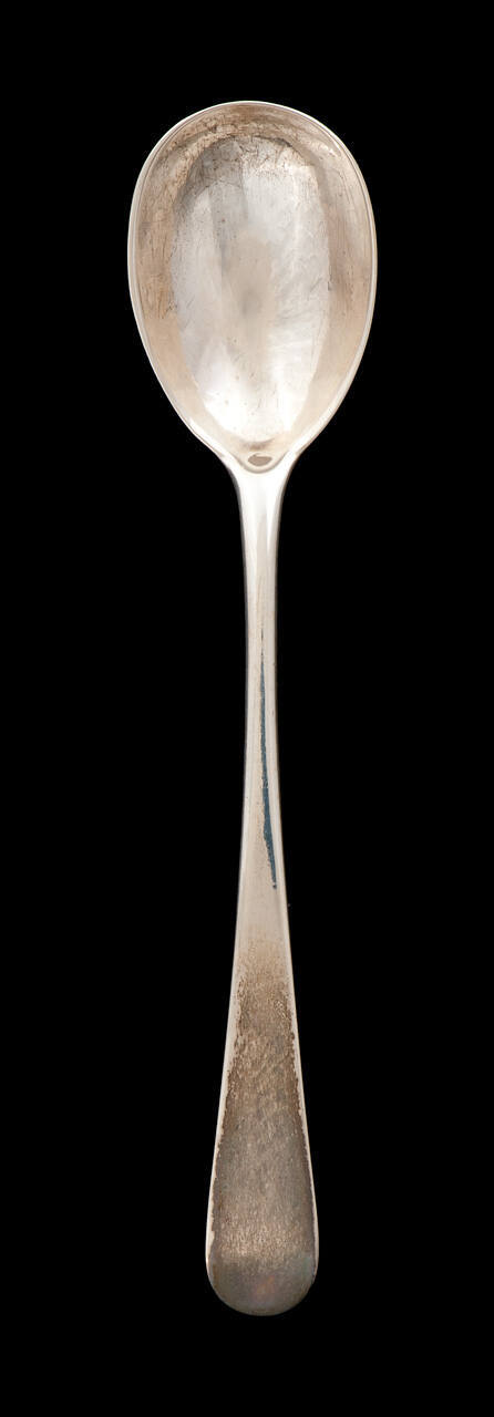 Mustard Pot Spoon