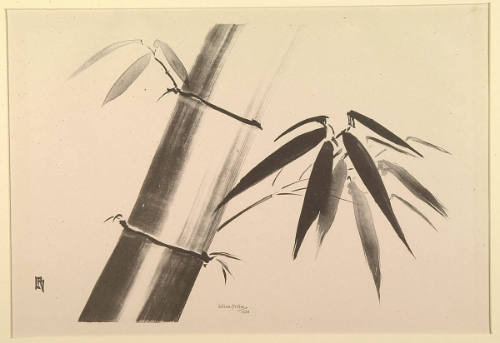 A Spray of Bamboo