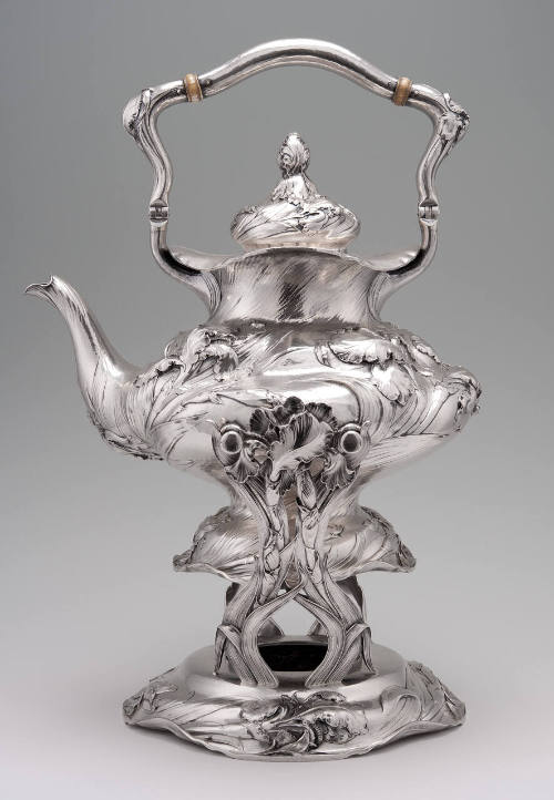 Water Kettle with stand and insert