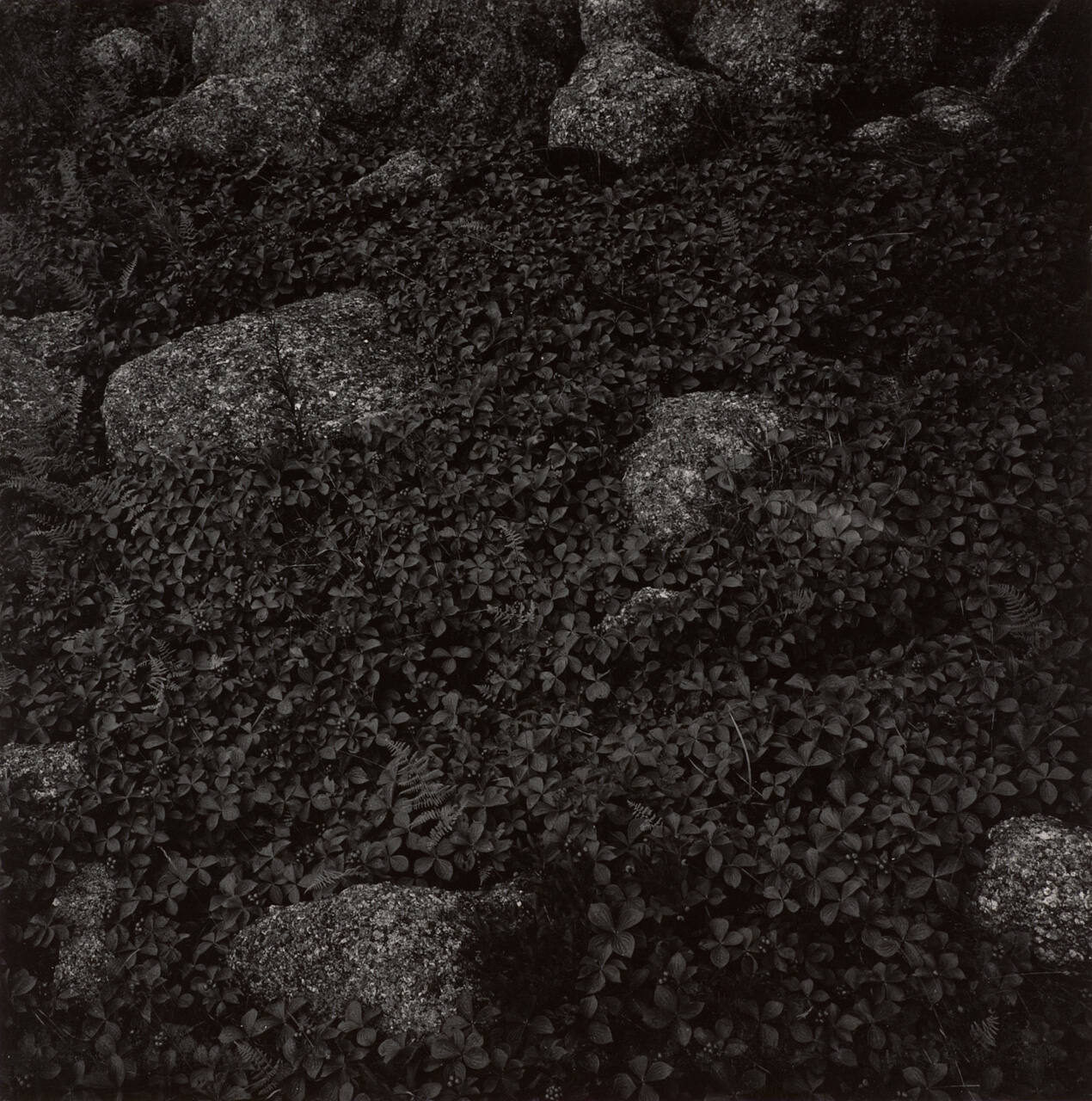 Maine
