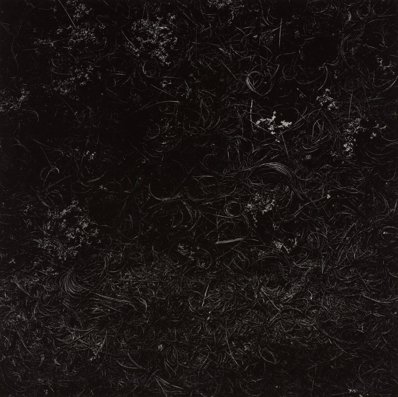 Maine