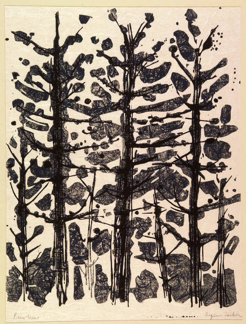 Pine Trees