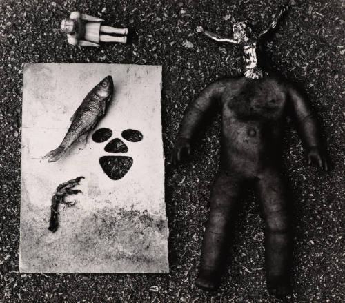 [Still life on ground]
