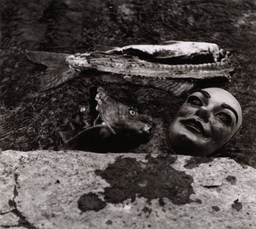 [Mask and fish parts]