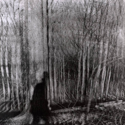[Shadow, Motion/Sound series]