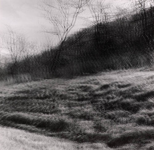 [Landscape, Motion/Sound series]