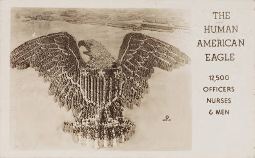 Human American Eagle Formation