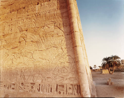 Ramses III Going Hunting