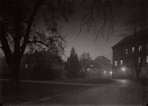 Untitled Night Scene