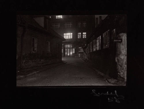 Untitled Night Scene