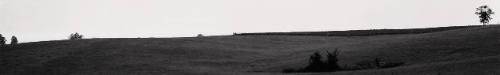 Midwest Landscape #64