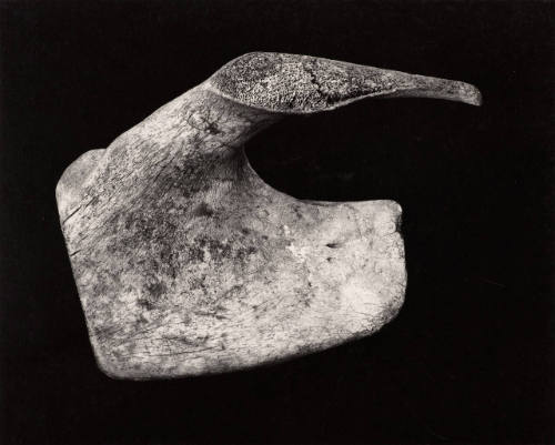 Bone