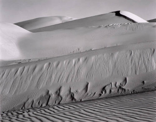 Dunes, Oceano