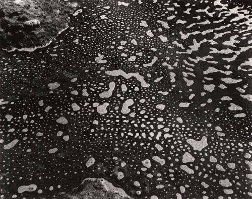 Tide Pool, Point Lobos