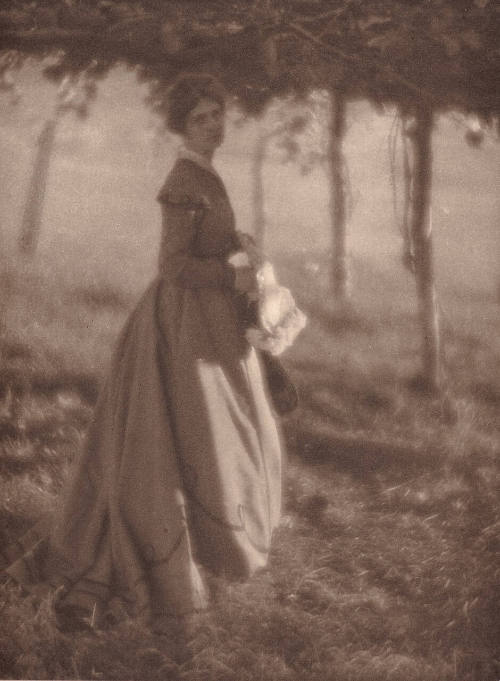 The Arbor