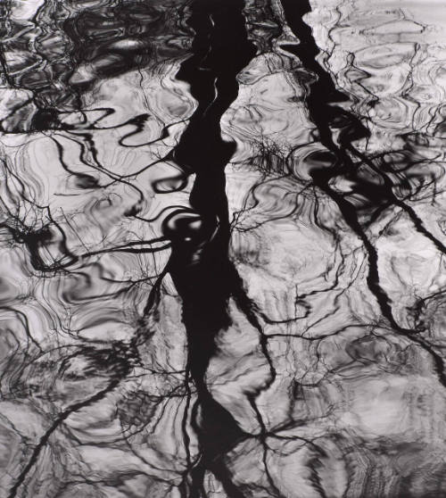 Water Reflection