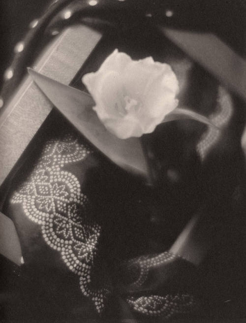 Design: Plant and Fabric