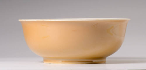 Shallow Bowl