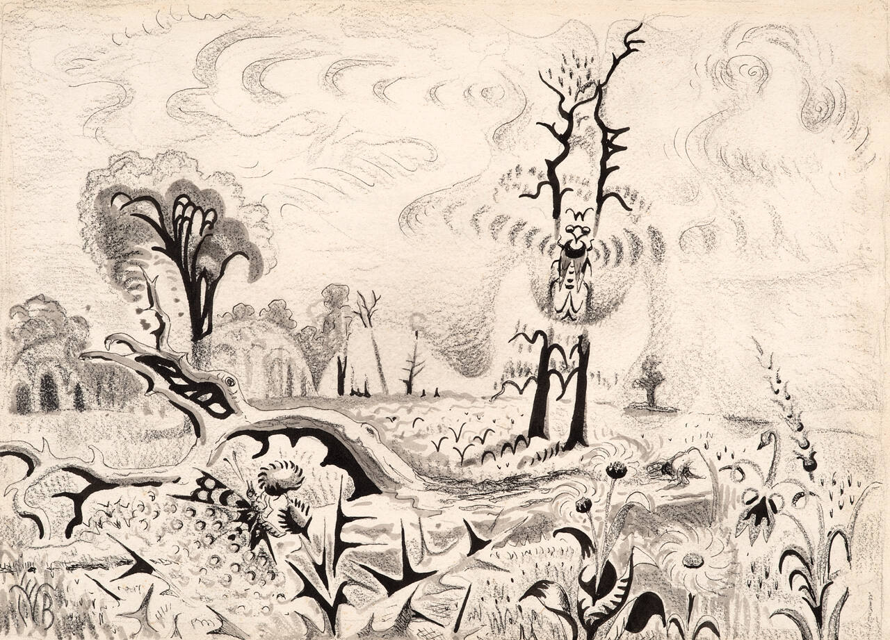 Song of the Cicada: A Study of Summer Heat and Insect Rhythms
