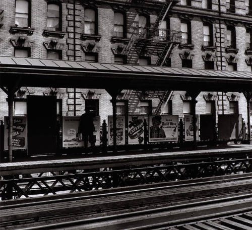 Cat's Paw on the "L" Station, N.Y.C.