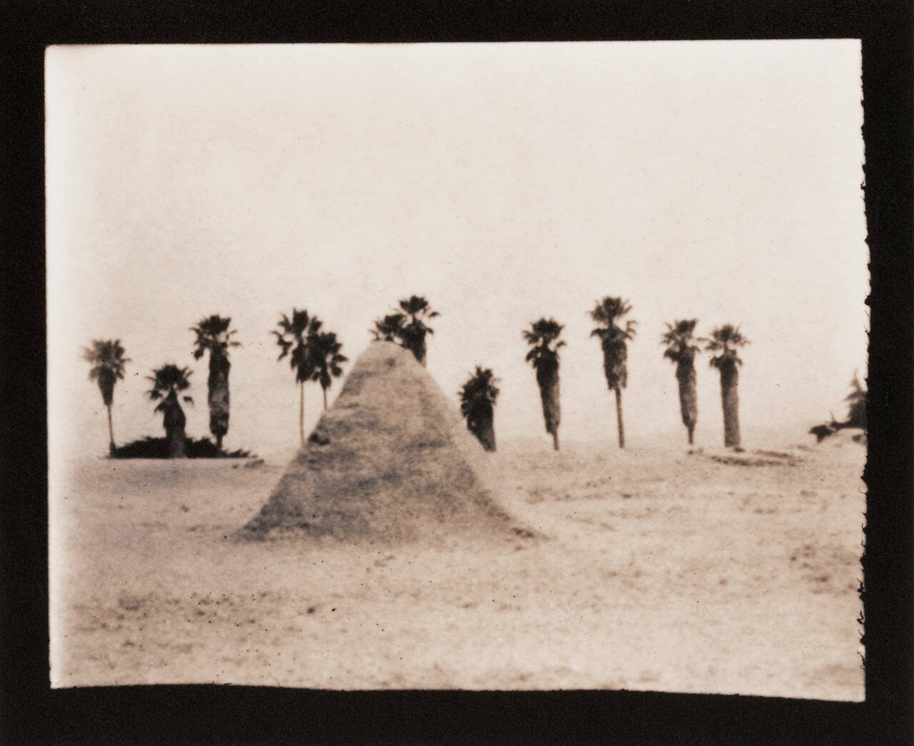 Pyramid with Palms