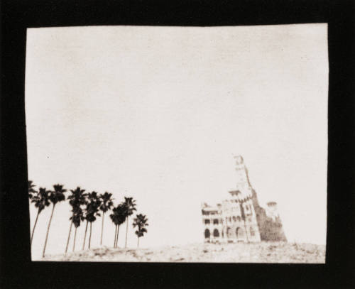 Building and Palms
