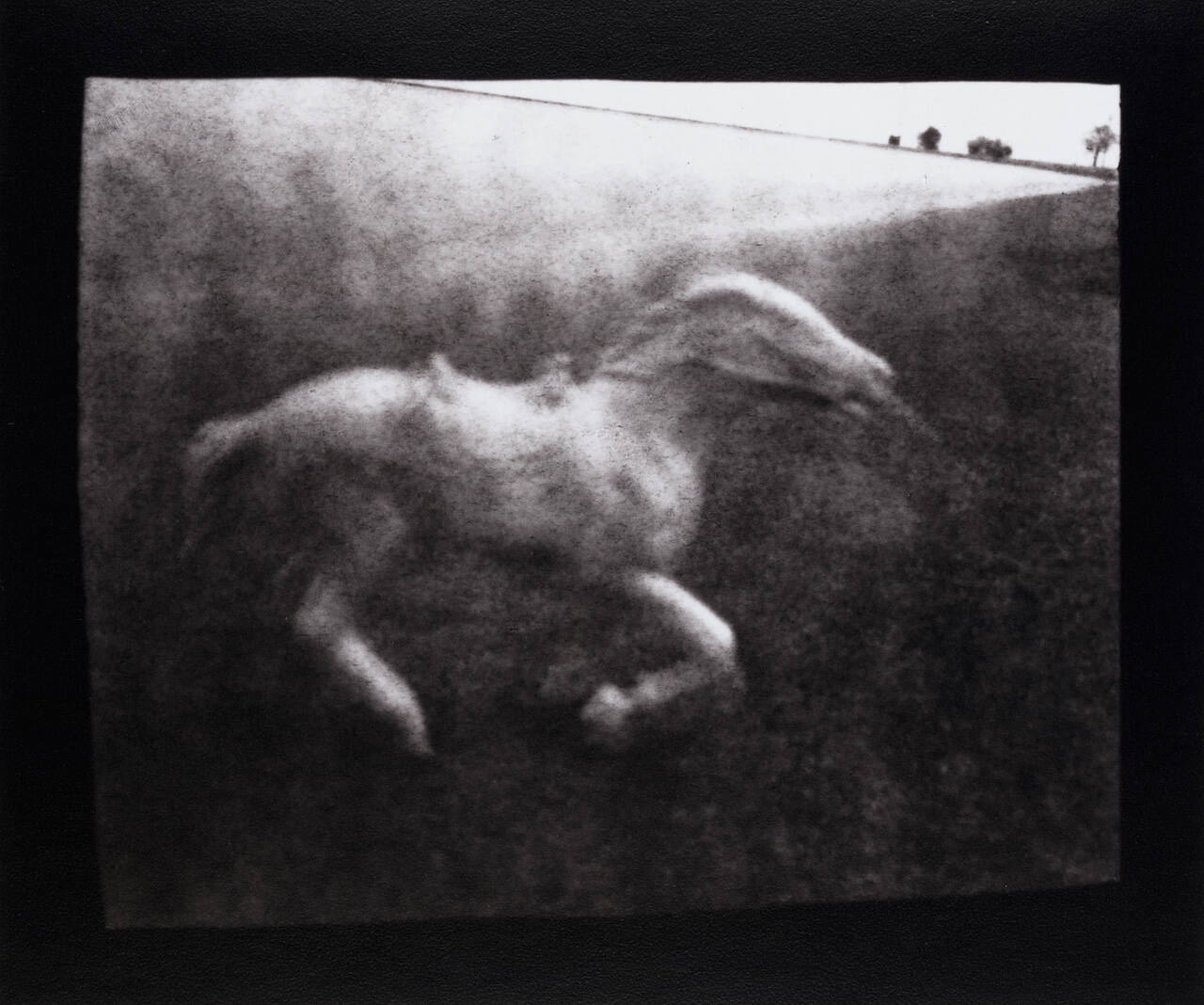 Running Horse