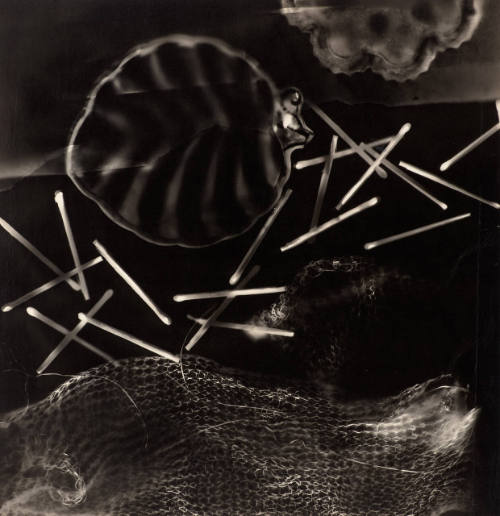 Untitled (Photogram)