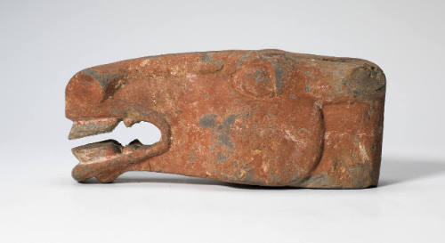 Horse's Head
