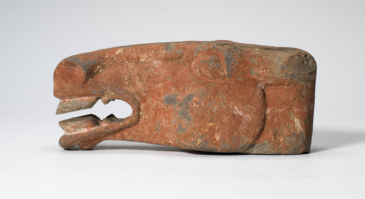 Horse's Head