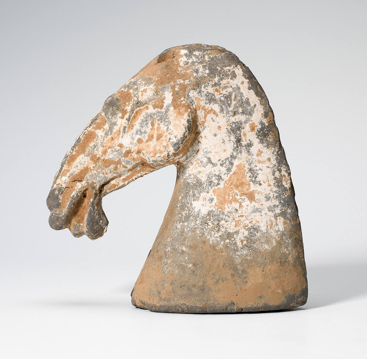Horse's Head