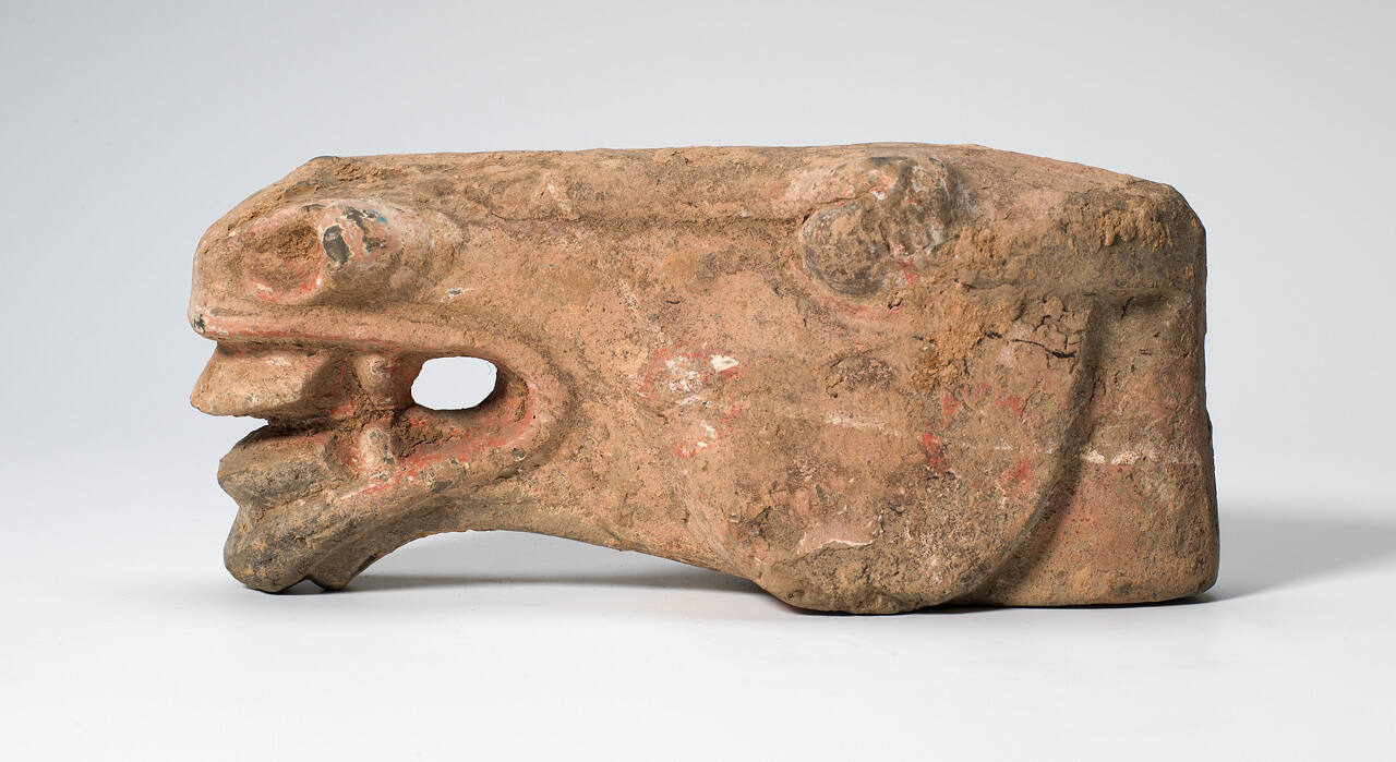 Horse Head