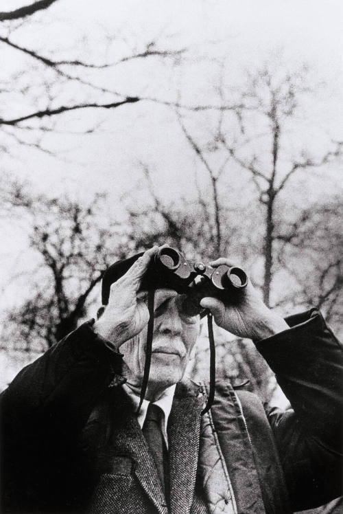 Bird Watcher, Central Park, NY
