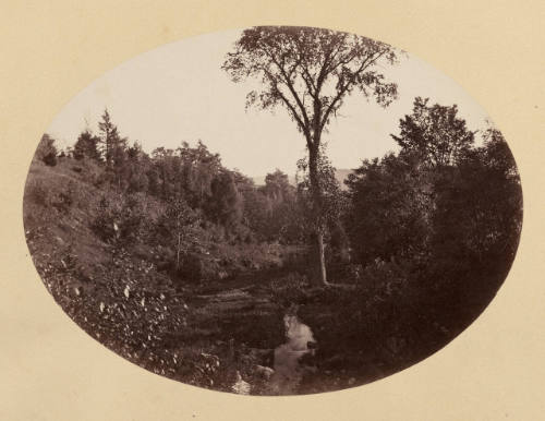 Stream in Landscape with elm tree, Williams College, Williamstown, MA