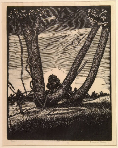 Trees